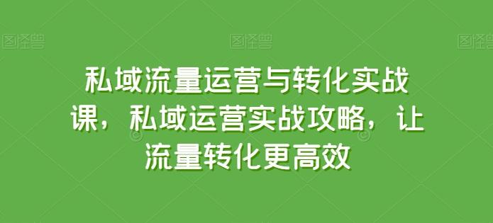私域流量运营与转化实战课，私域运营实战攻略，让流量转化更高效-卿云社