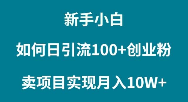 (9556期)新手小白如何通过卖项目实现月入10W+-卿云社
