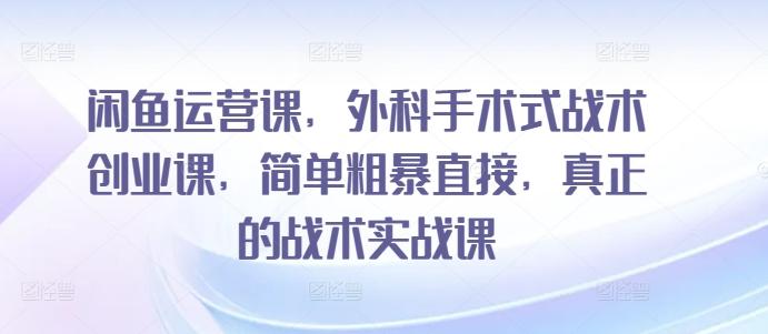 闲鱼运营课，外科手术式战术创业课，简单粗暴直接，真正的战术实战课-卿云社