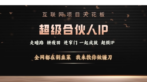 互联网项目天花板，超级合伙人IP，全网都在割韭菜，我来教你做镰刀【仅揭秘】-卿云社