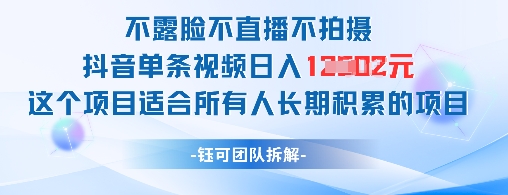 不露脸不直播不拍摄抖音单条视频日入1k+这个项目适合所有人长期积累的项目-卿云社