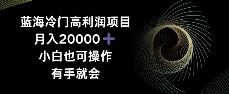 蓝海冷门高利润项目月入2000，小白也可操作有手就会-卿云社