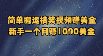 简单搬运搞笑视频挣美金，新手一个月入1k美金-卿云社